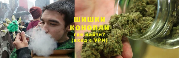 дмт Арсеньев