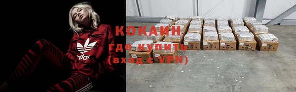МДПВ Ельня