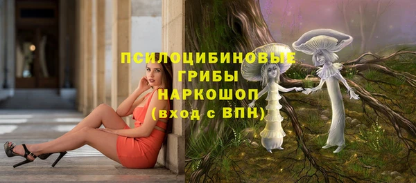 дмт Арсеньев